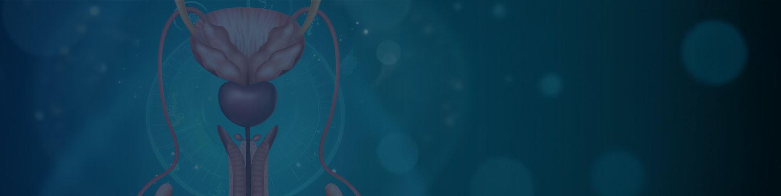 How to evaluate a case of hypospadias?